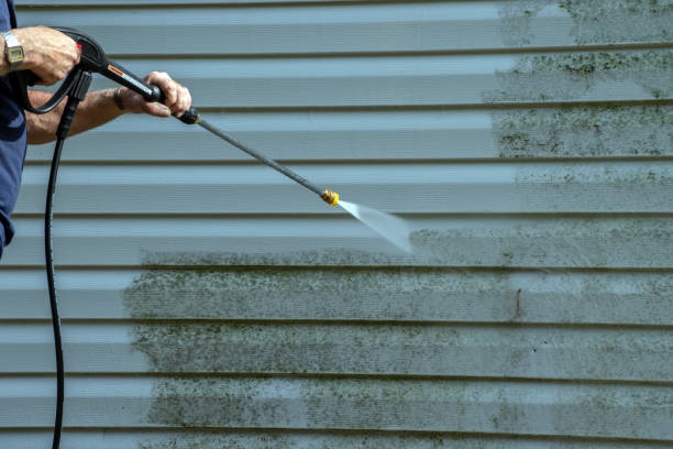 Best House Exterior Washing  in Caoncito, NM
